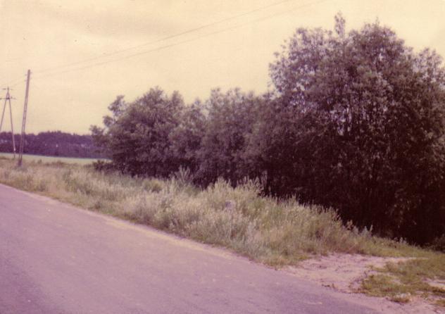 Droga w kierunku Dusznik w miejscu gdzie kiedys stal mlyn wodny.JPG